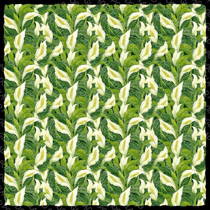 Peace Lily